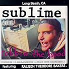 Sublime - Robbin the Hood mp3 download