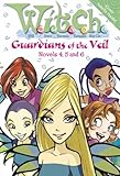 Guardians of the veil