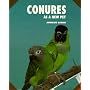 Conures as a New Pet