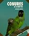 Book Conures As a New Pet (Tu-028)