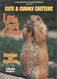 Cute & Cuddly Critters: Little Furry Friends