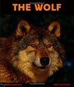 The Wolf: Night Howler (Animal Close-Ups)