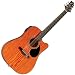 NEW SAMICK GREG BENNETT EDEN PLAINS D4 FIGURED CUTAWAY ACOUSTIC ELECTRIC GUITAR