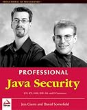 Professional Java Security (Programmer to Programmer)