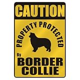 CAUTION  PROPERTY PROTECTED BY BORDER COLLIE  PARKING SIGN DOG
