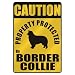CAUTION  PROPERTY PROTECTED BY BORDER COLLIE  PARKING SIGN DOG