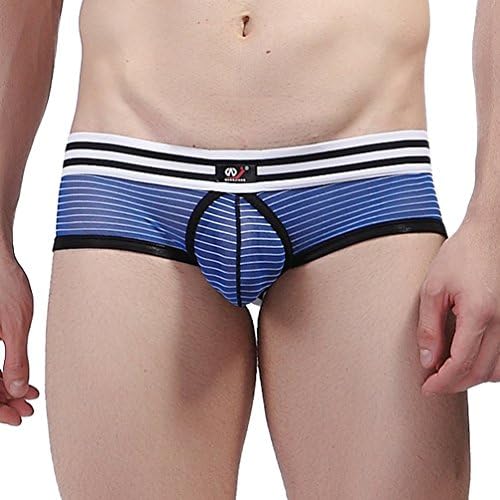 ZIHAN Men's Breathable Performance Stripe Briefs Large Deep Blue