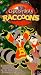 The Christmas Raccoons