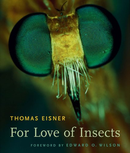 Insects