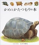 ���߂Ƃ����ނ�̖{ (�͂��߂Ă̔���)