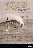 Rip Curl's "Search" Classics Box Set Surfing DVDs