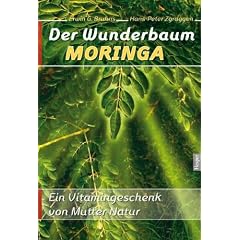 Der Wunderbaum Moringa: Ein Vitamingeschenk von Mutter Natur