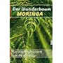Der Wunderbaum Moringa: Ein Vitamingeschenk von Mutter Natur