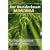 Der Wunderbaum Moringa: Ein Vitamingeschenk von Mutter Natur
