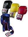 Century 14906P Kickboxing Training Glove (14 oz)