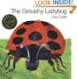 The Grouchy Ladybug