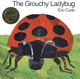The Grouchy Ladybug