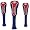 Arizona Wildcats