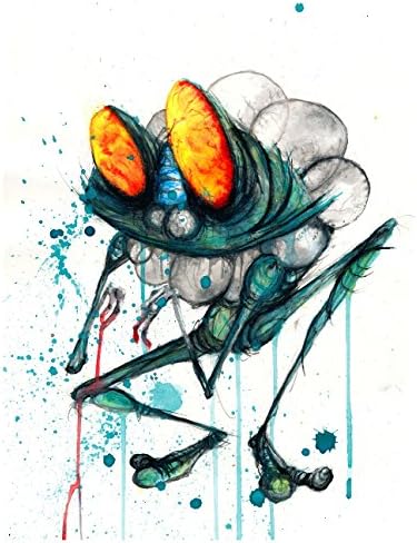 Froakie