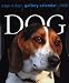 Dog Gallery 2008 Page a day Calendar