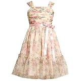 Bonnie Jean Girls 7-16 Floral Print Mesh Dress