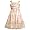 Bonnie Jean Girls Floral Print Mesh Dress, Multi, 6X