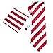 Hi-Tie Mens Striped Tie Set Silk Classic