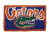 Florida Gators Bleached Welcome Mat (Doormat) 18X30 Welcome Mat Bleached-U Of Florida - NCAA Colle