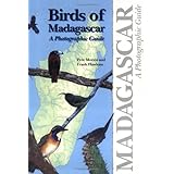 birds of madagascar a photographic guide