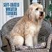 Soft-Coated Wheaten Terriers: 2003