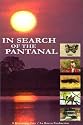 In Search of the Pantanal [VHS]