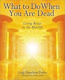 What to Do When You Are Dead
 Living Better in the Afterlife,
Craig Hamilton-Parker