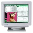 Cornerstone C700 17" CRT Monitor