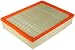 Fram CA8755A Extra Guard Flexible Panel Air