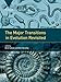 The Major Transitions in Evolution Revisited (Vienna Series in Theoretical Biology)