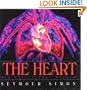 The Heart: Our Circulatory System