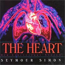 The Heart: Our Circulatory System
