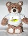 Teddy Bear with cute, kitten, cat t-shirt