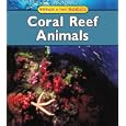 Coral Reef Animals (Animals in Their Habitats) by Francine Galko