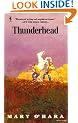 Thunderhead