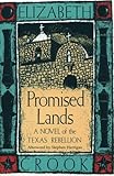 Promised Lands: A Novel of the Texas Rebellion (Southwest Life & Letters)