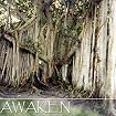 Awaken