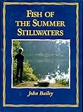Fish of the summer stillwaters