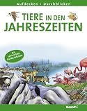 Aufdecken - Durchblicken. Tiere in den Jahreszeiten: Mit spannenden Aufdeckfolien - Annie Jones