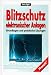 Blitzschutz elektronischer Anlagen