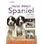 English Springer Spaniel (Collins Dog Owner's Guides)
