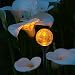 Allsop Firefly Solar Garden Art with Crackle Glass Globe