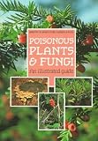 Poisonous Plants and Fungi: An Illustrated Guide