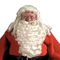 Deluxe Santa Wig and Beard