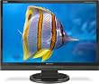 NEC AccuSync LCD22WMGX-BK 22 inch Wide Screen 2000:1 5ms DVI/HDMI LCD Monitor (Black)